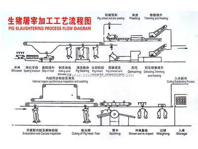 生猪江南（中国）工艺示意图